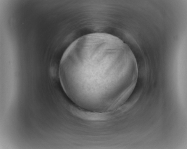 X0000111600044200907301455
