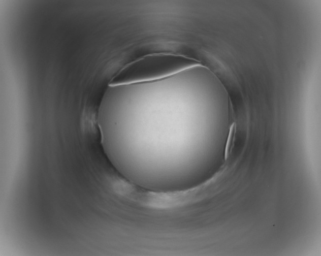 X0000111600045200907301455