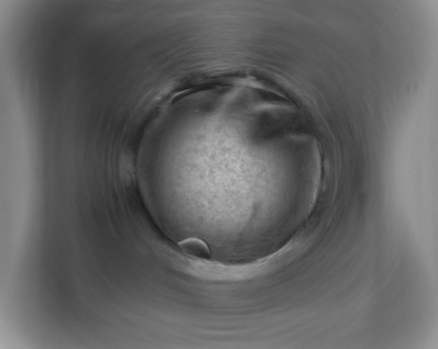 X0000111600048200907301455