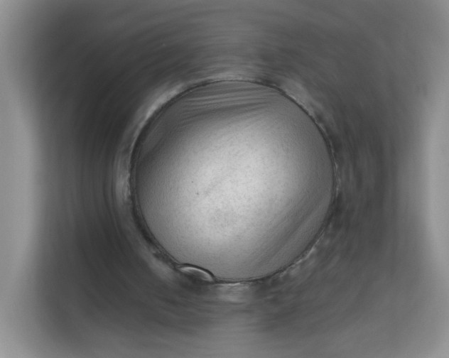X0000111600050200907301455