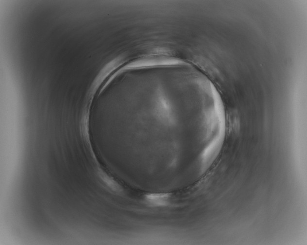 X0000111600051200907301455