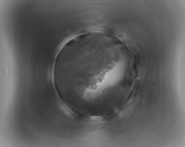 X0000111600052200907301455