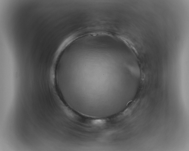 X0000111600053200907301455