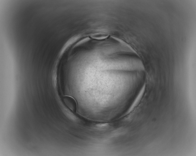 X0000111600054200907301455