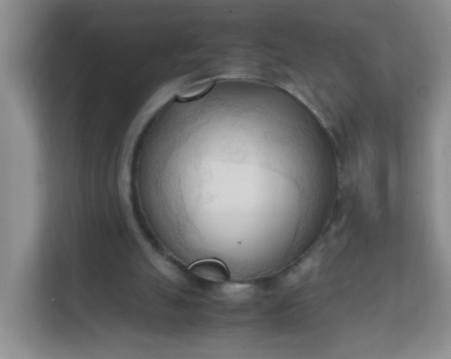 X0000111600055200907301455