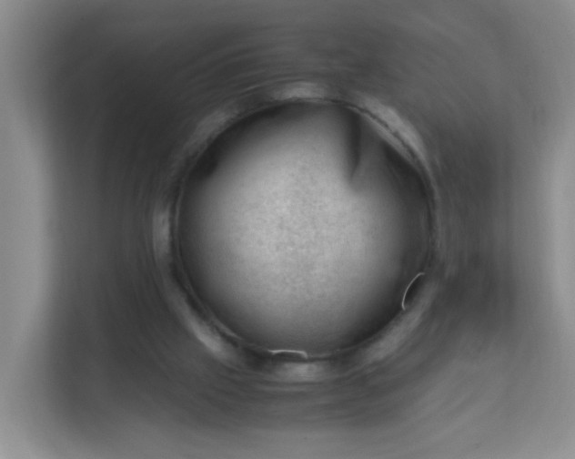 X0000111600057200907301455