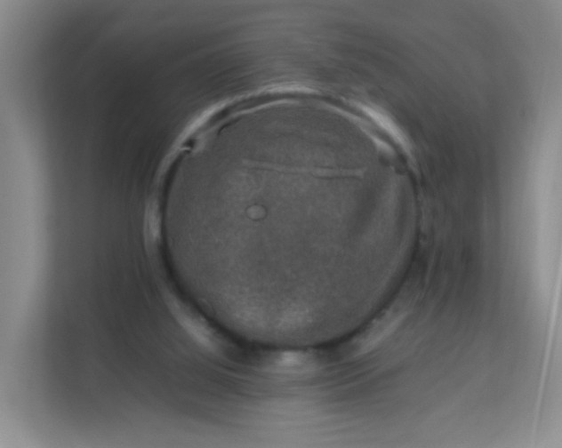 X0000111600060200907301455