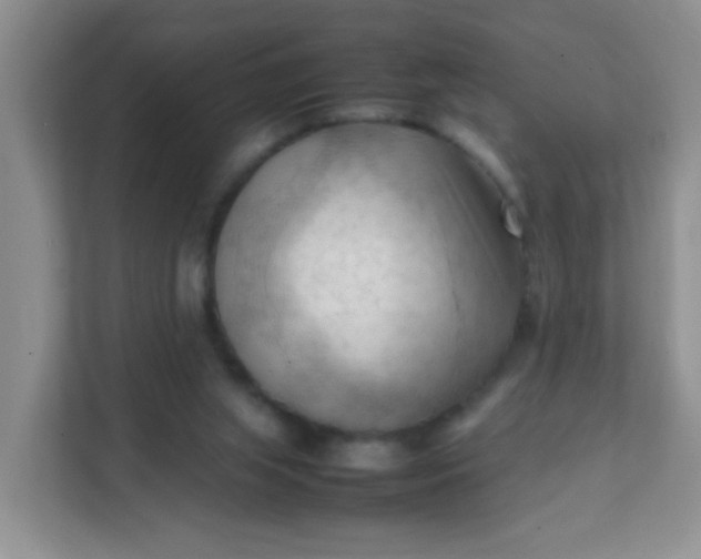 X0000111600063200907301455