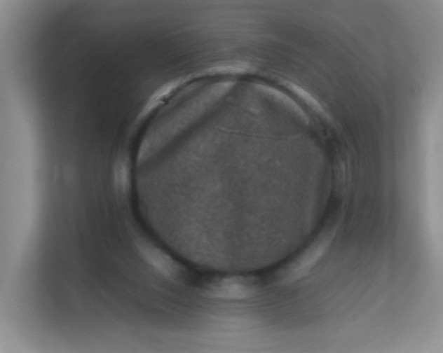 X0000111600064200907301455