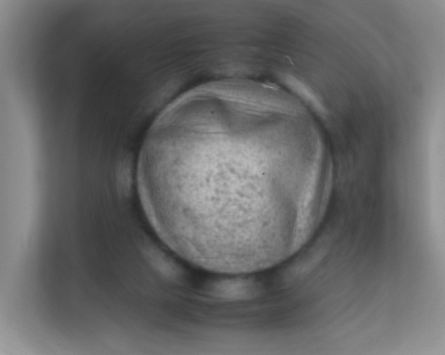 X0000111600065200907301455