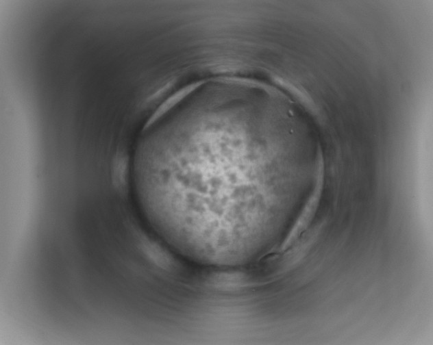 X0000111600066200907301455