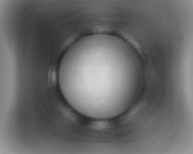 X0000111600067200907301455