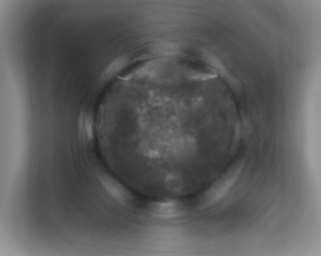 X0000111600068200907301455