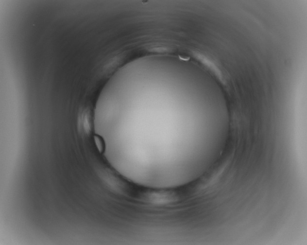 X0000111600069200907301455
