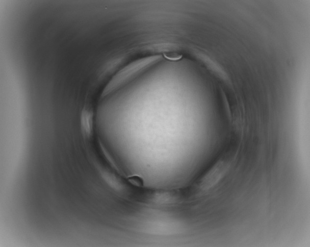 X0000111600070200907301455