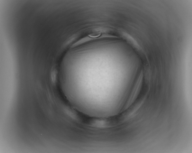 X0000111600071200907301455
