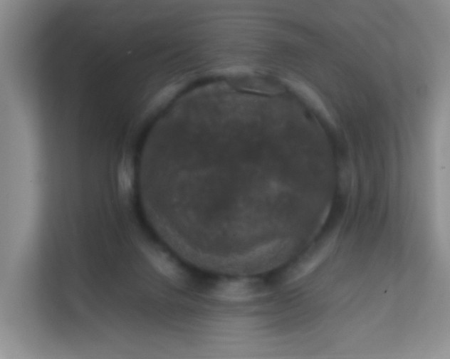 X0000111600072200907301455