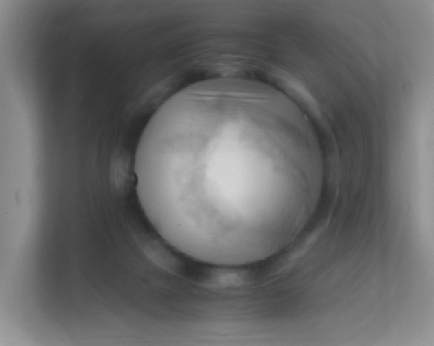 X0000111600073200907301455