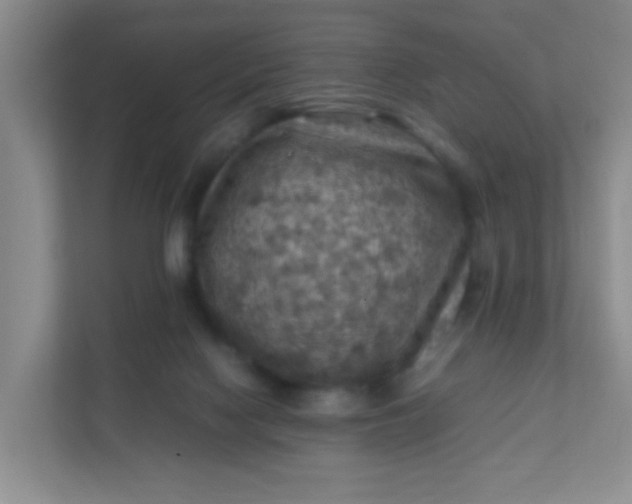 X0000111600074200907301455