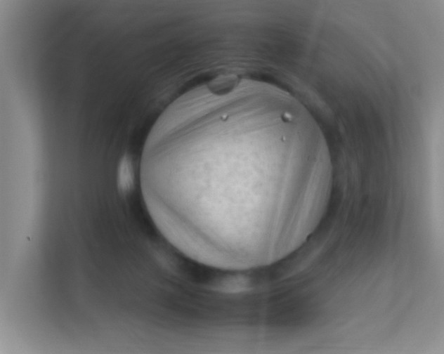 X0000111600075200907301455