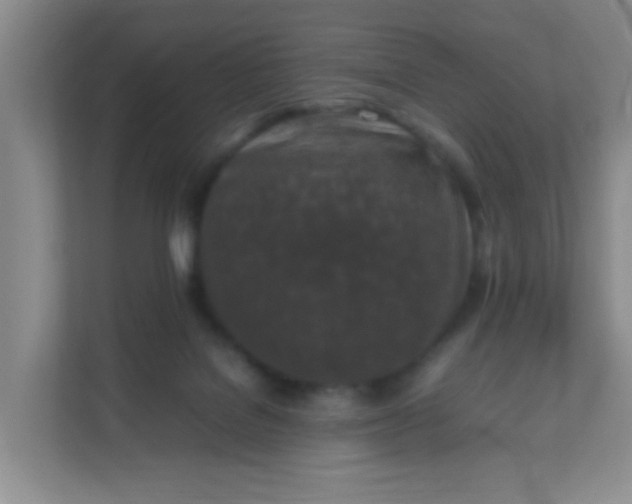 X0000111600076200907301455
