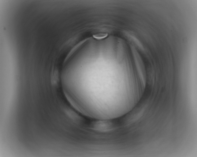X0000111600077200907301455