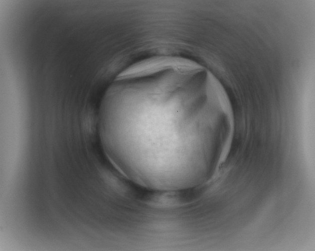 X0000111600078200907301455
