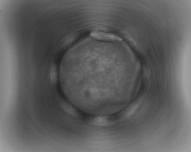 X0000111600080200907301455