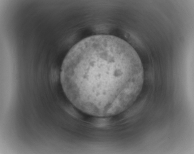 X0000111600081200907301455