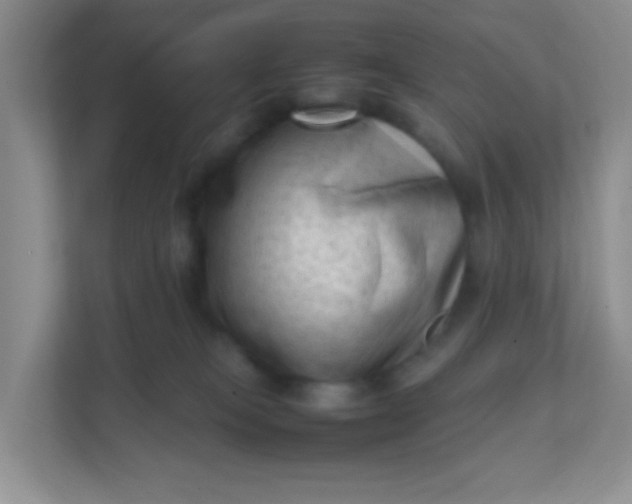 X0000111600085200907301455