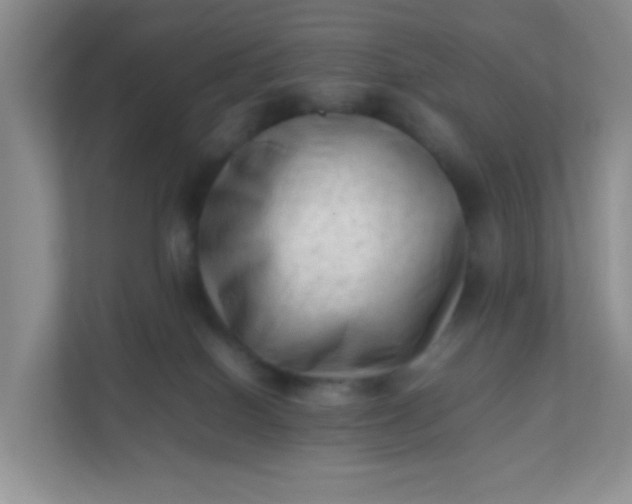 X0000111600086200907301455