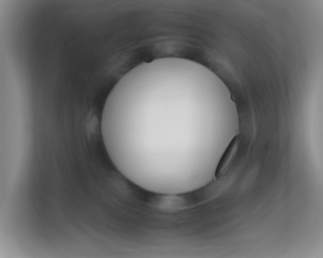 X0000111600087200907301455