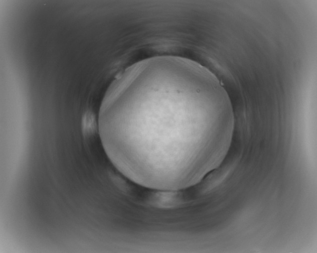 X0000111600089200907301455