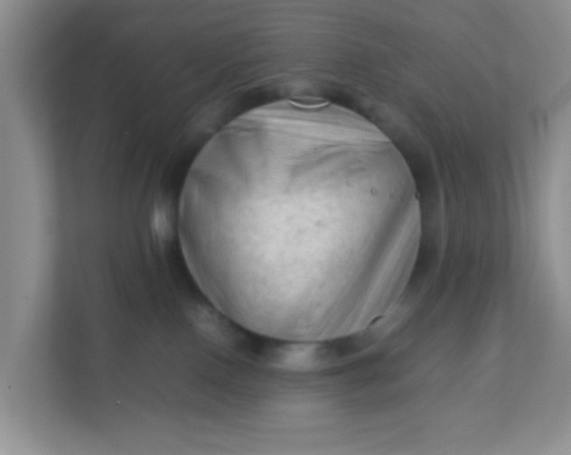 X0000111600090200907301455
