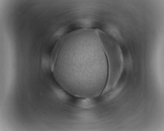 X0000111600092200907301455