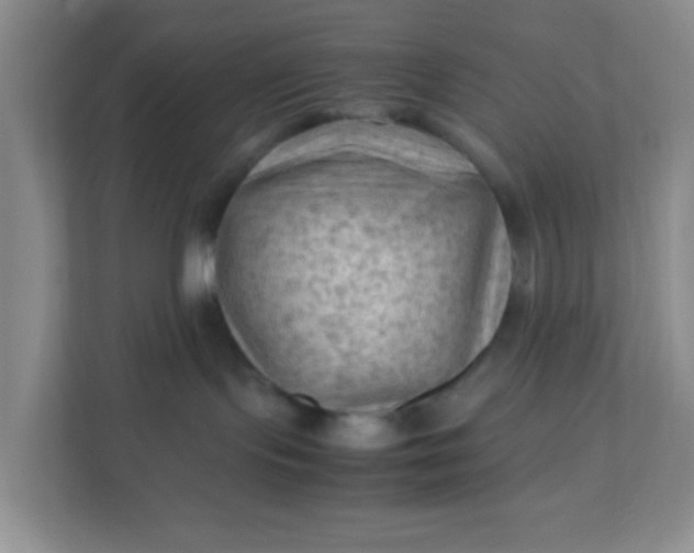 X0000111600095200907301455