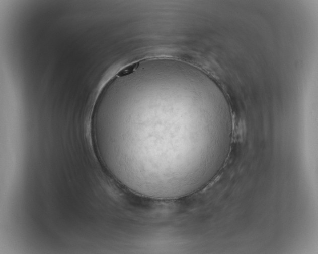 X0000111600099200907301455