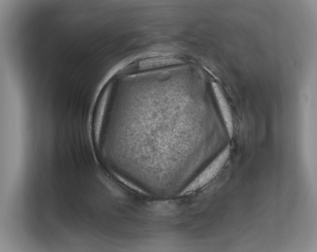 X0000111600100200907301455