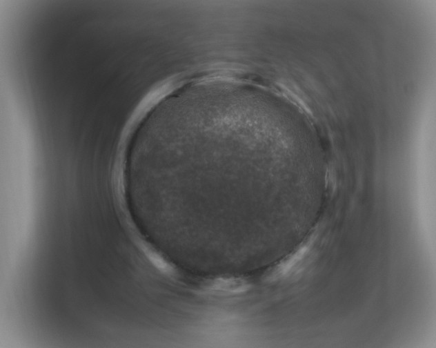X0000111600101200907301455