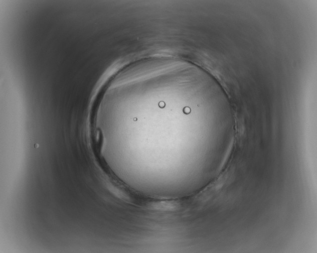 X0000111600102200907301455