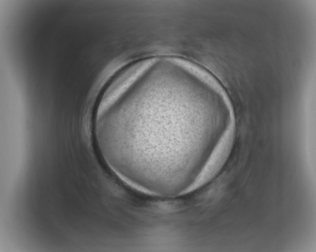 X0000111600103200907301454