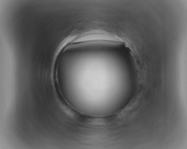 X0000111600104200907301454