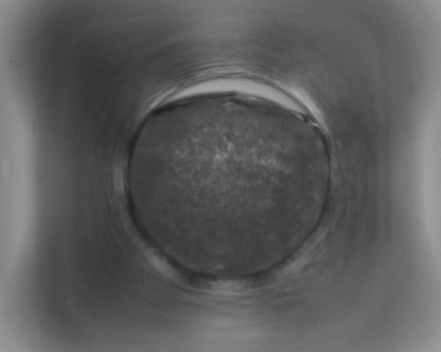 X0000111600105200907301454