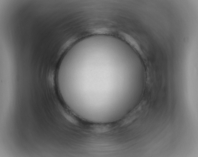 X0000111600106200907301454