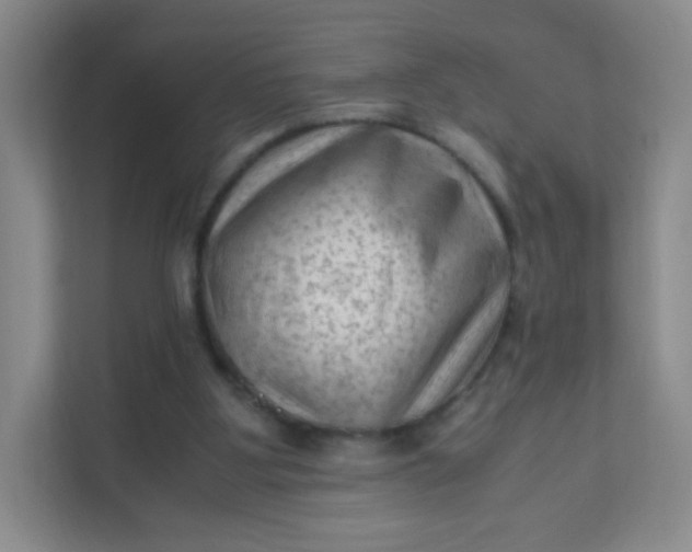 X0000111600107200907301454