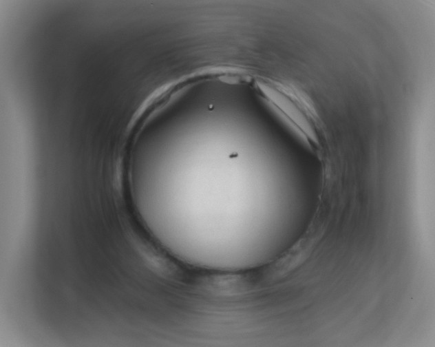 X0000111600108200907301454