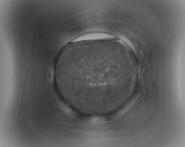 X0000111600109200907301454