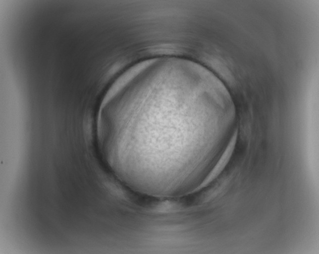 X0000111600111200907301454