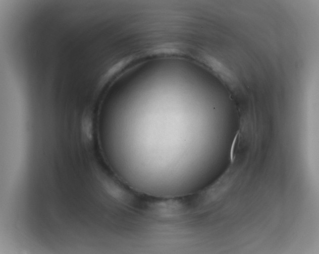 X0000111600112200907301454