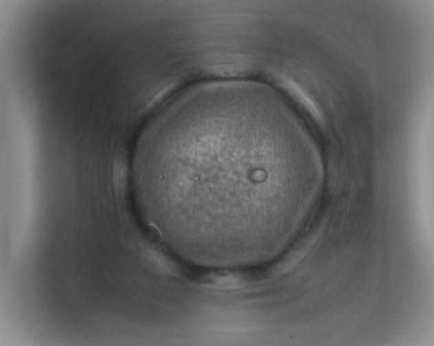 X0000111600113200907301454